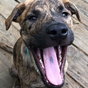 Meet your Posher, Mary emma